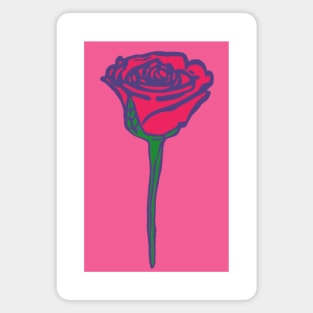 Pink Rose in Pink Background Magnet